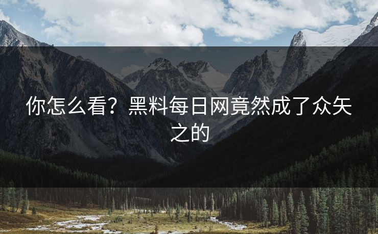你怎么看？黑料每日网竟然成了众矢之的