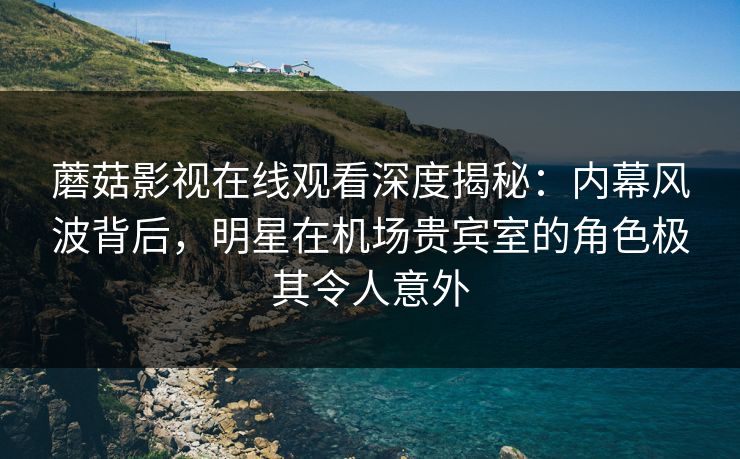 蘑菇影视在线观看深度揭秘：内幕风波背后，明星在机场贵宾室的角色极其令人意外
