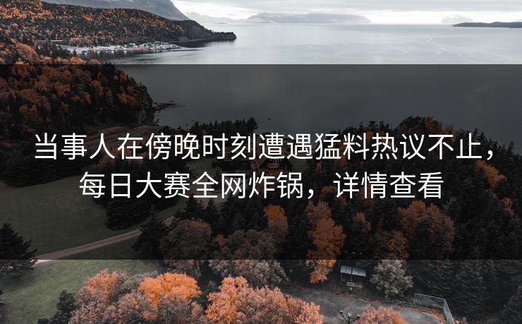当事人在傍晚时刻遭遇猛料热议不止，每日大赛全网炸锅，详情查看