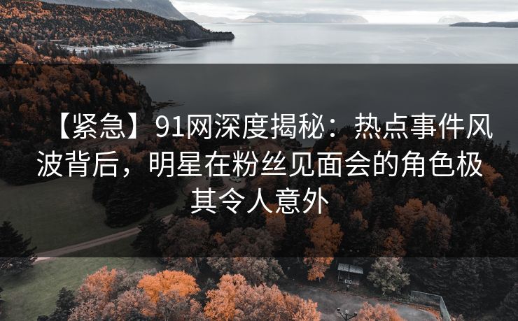 【紧急】91网深度揭秘：热点事件风波背后，明星在粉丝见面会的角色极其令人意外