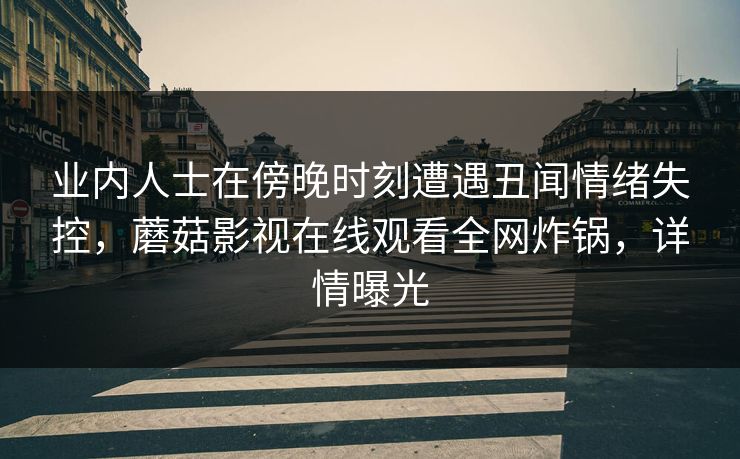 业内人士在傍晚时刻遭遇丑闻情绪失控,蘑菇影视在线观看全网炸锅,详情曝光 业内人士在傍晚时刻遭遇丑闻情绪失控,蘑菇影视在线观看全网炸锅,详情曝光