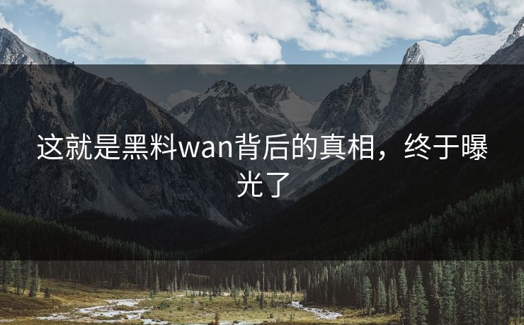 这就是黑料wan背后的真相，终于曝光了