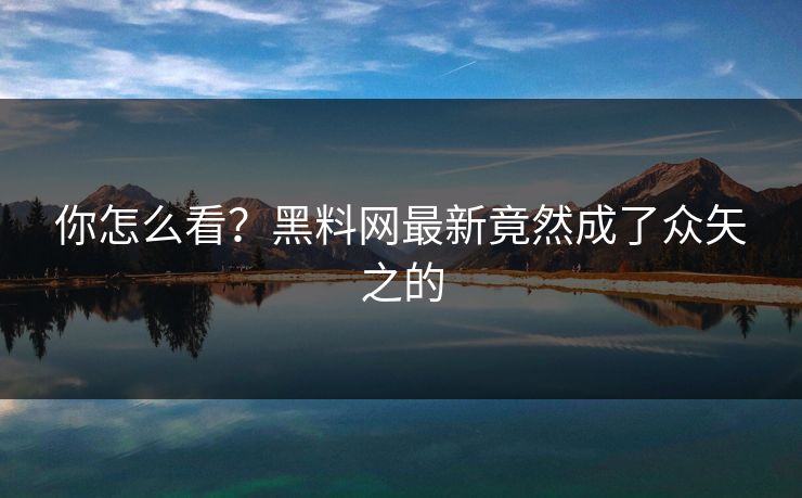 你怎么看？黑料网最新竟然成了众矢之的