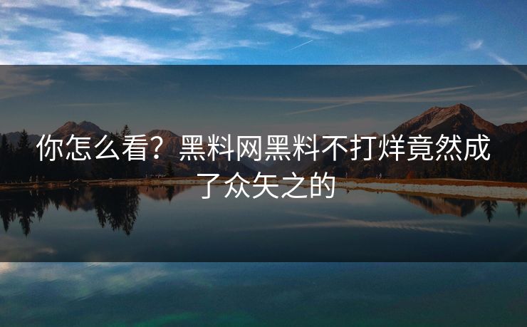 你怎么看？黑料网黑料不打烊竟然成了众矢之的