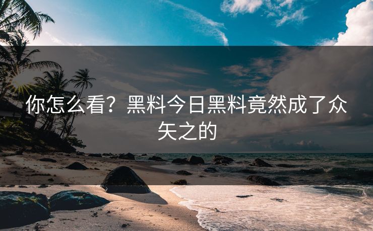 你怎么看？黑料今日黑料竟然成了众矢之的