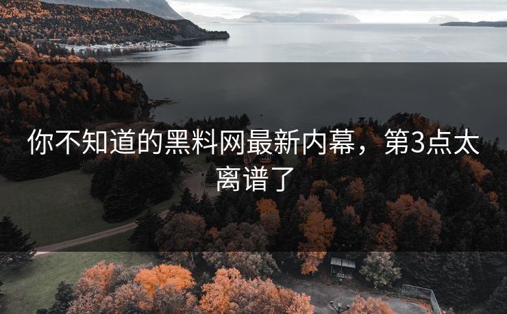 你不知道的黑料网最新内幕，第3点太离谱了