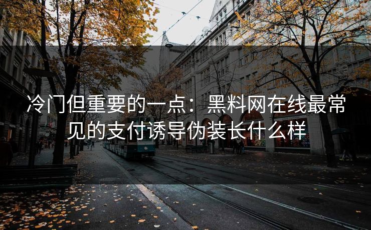 冷门但重要的一点：黑料网在线最常见的支付诱导伪装长什么样